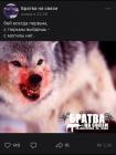 Прикрепленное изображение: Бей всегда первым - с тюрьмы выйдешь, с могилы - нет.jpg