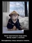 Прикрепленное изображение: 1728919444.jpg