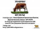 Прикрепленное изображение: album_pic.php.jpg