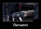 Прикрепленное изображение: 1667926602.jpg