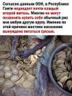 Прикрепленное изображение: Гаити 1.jpg