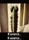 Прикрепленное изображение: 3kL4w_sVy2w.jpg