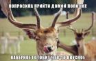 Прикрепленное изображение: 1418184640_63558015.jpg