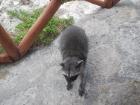 Прикрепленное изображение: DSCN1230.JPG