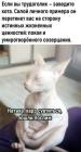 Прикрепленное изображение: 1732395610.jpg