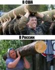 Прикрепленное изображение: 1733393435.jpg