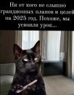 Прикрепленное изображение: 1733492458.jpg