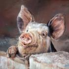 Прикрепленное изображение: 220-pig-tale-1.jpg
