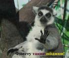Прикрепленное изображение: 14200.jpg