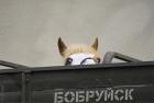 Прикрепленное изображение: post7711174561553ox.jpg
